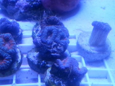 20160315_080214.jpg