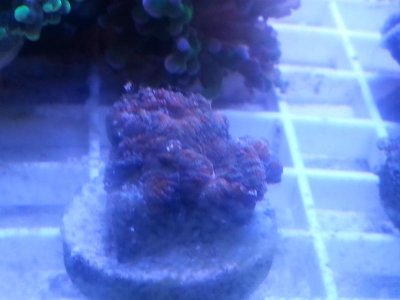 20160315_080219.jpg