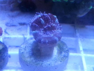 20160315_080222.jpg