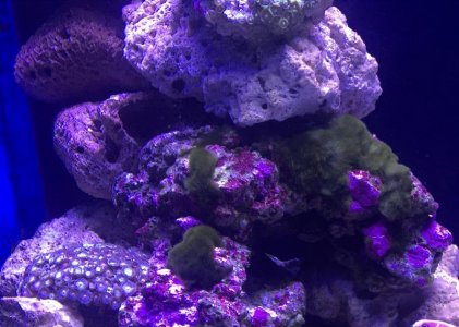 Photo 14-03-2016, 21 56 51.jpg