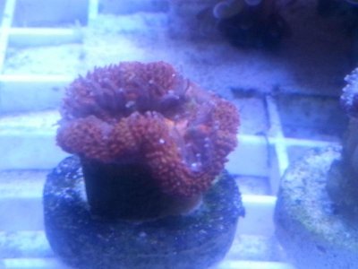 20160315_080225.jpg