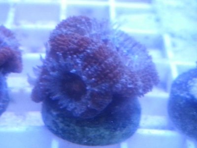 20160315_080227.jpg