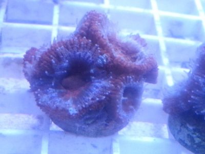 20160315_080230.jpg