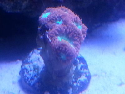 20160315_080238.jpg
