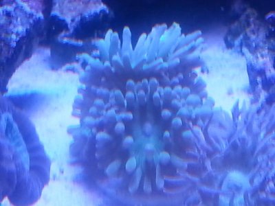 20160315_080251.jpg
