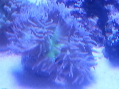 20160315_080253.jpg