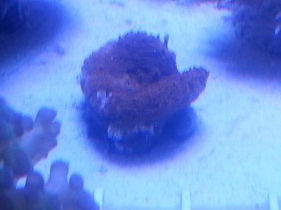 20160315_080300.jpg