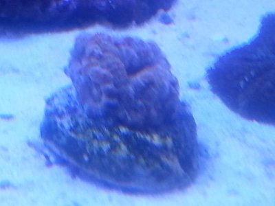 20160315_080313.jpg