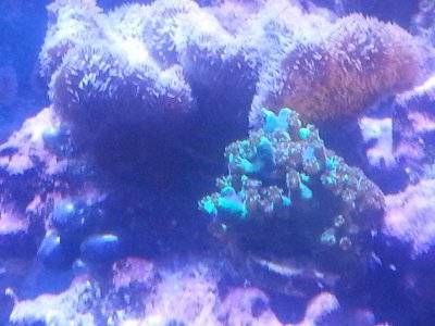 20160315_080325.jpg