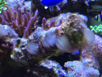 IMG_2682.jpg