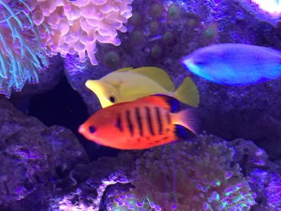 IMG_0950.jpg