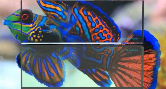 Screen Shot 2016-04-15 at 1.49.16 PM.jpg