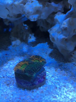 2-24-16 022.jpg