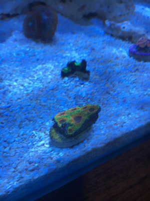 2-24-16 024.jpg
