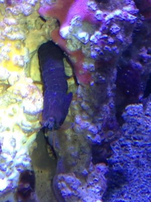IMG_0171.jpg
