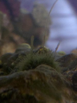 IMG_20160324_185734.jpg