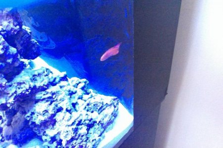 RYAN - WIN_20160417_162345.jpg