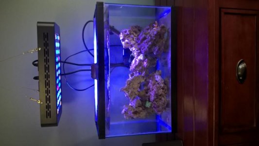 WP_20160418_17_02_39_Pro.jpg