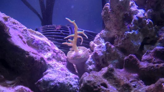 WP_20160418_17_04_50_Pro.jpg