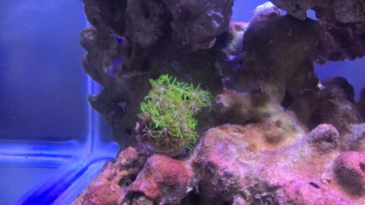 WP_20160418_17_03_22_Pro.jpg