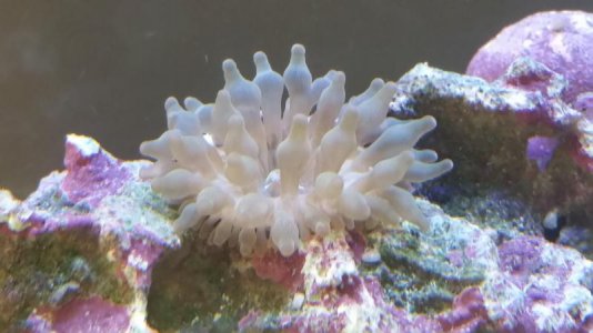 uploadfromtaptalk1458970329669.jpg uploadfromtaptalk1458970329669.jpg