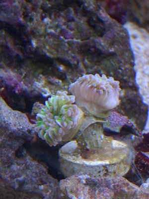 IMG_20160418_213030.jpg