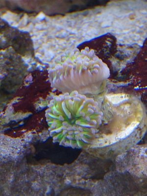 IMG_20160418_213019.jpg
