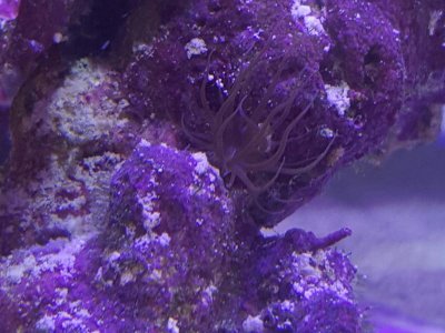 2016-04-19 16.55.58.jpg