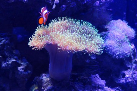shark tank 3.jpg