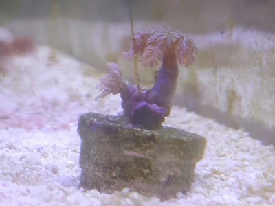 2016-04-20 12.58.03.jpg