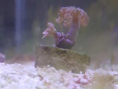 2016-04-20 12.58.24.jpg