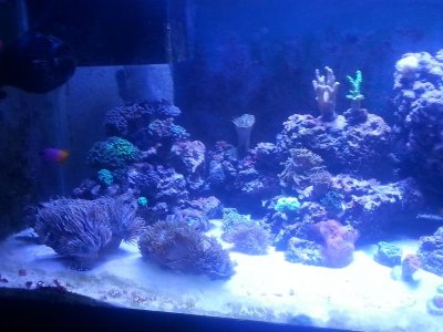 20160327_145700[1].jpg