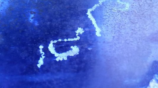 20160420_184645.jpg