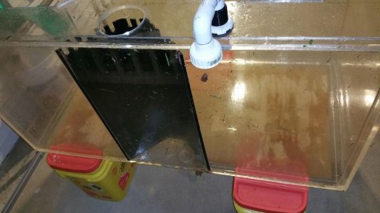 20160420_205212.jpg