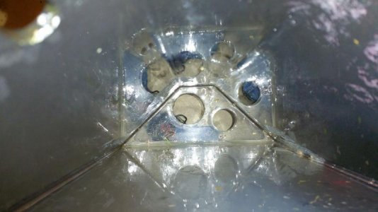 20160420_205204.jpg