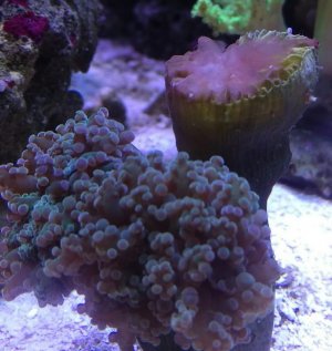 IMAG0730_1.jpg