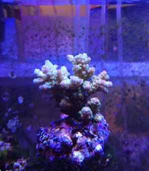_20160421_104946.jpg