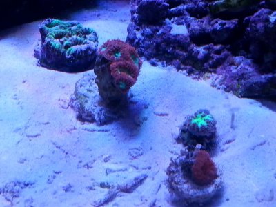 20160328_153414[1].jpg