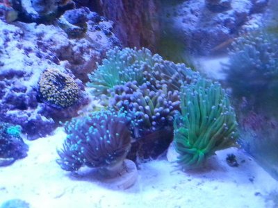 20160328_153349[2].jpg