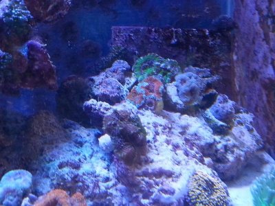 20160328_153343[1].jpg