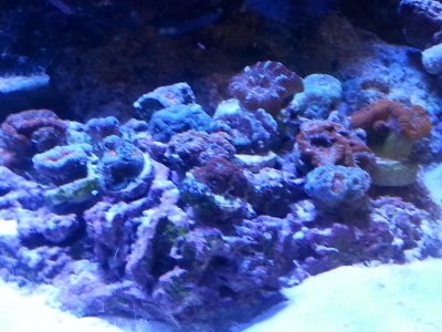 20160328_153340[1].jpg