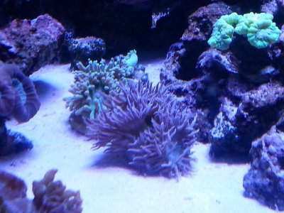 20160328_153301[1].jpg