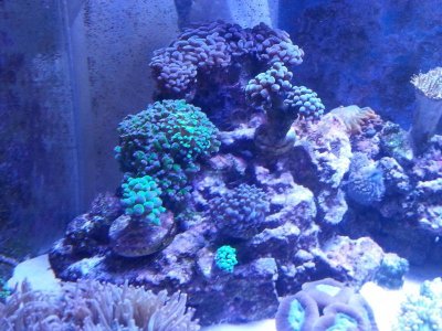 20160328_153249[1].jpg