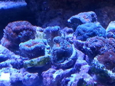 20160328_153229[1].jpg