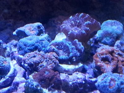 20160328_153226[1].jpg