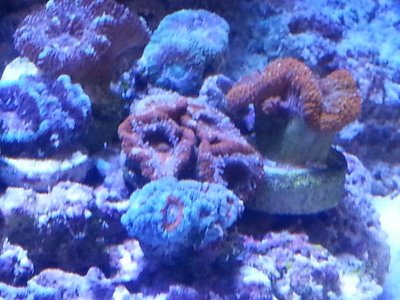 20160328_153220[1].jpg