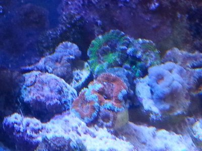 20160328_153213[1].jpg