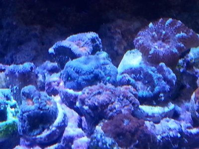 20160328_153200[1].jpg