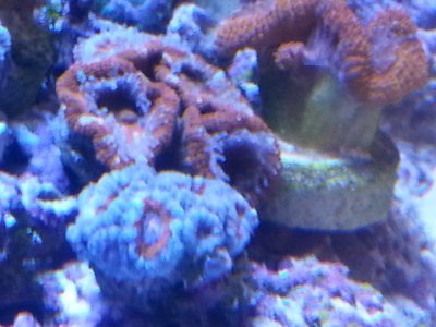 20160328_153155[1].jpg