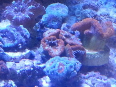 20160328_152739[1].jpg